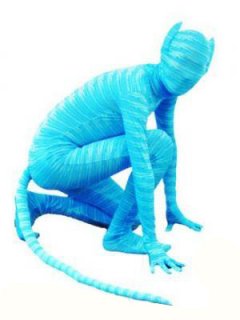 Cheap Avatar zentai suit